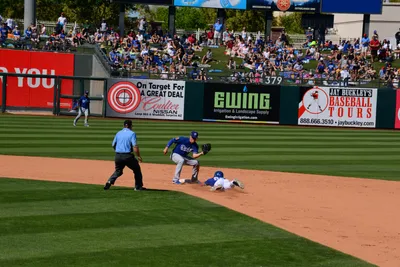 DSC_1804 (Large).JPG